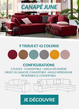 Concept canapés JUNE