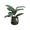 Illustration d'un produit Décoration