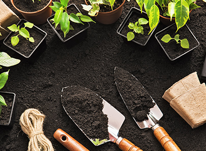 Toute l'offre outillage et jardinage