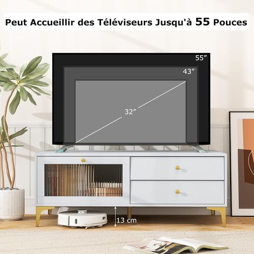 Meuble TV 2 Tiroirs, Meuble Pour Télé De 55 Pouces, Console TV 47,5", 120 X 62 X 46 Cm