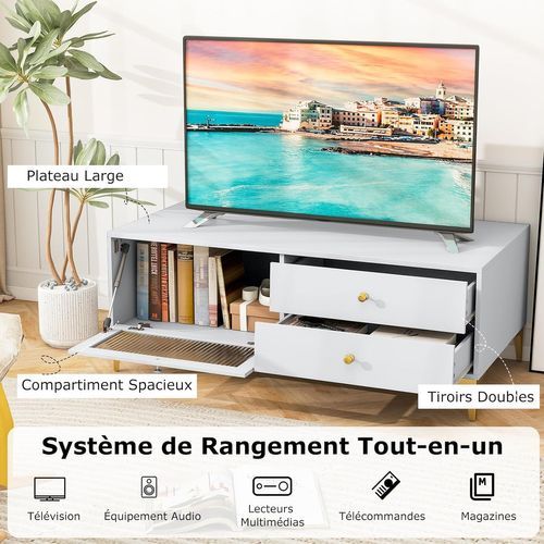 Meuble TV 2 Tiroirs, Meuble Pour Télé De 55 Pouces, Console TV 47,5", 120 X 62 X 46 Cm