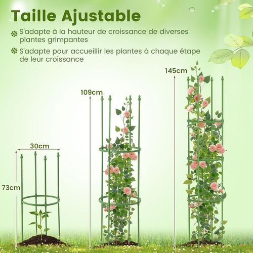 Lot De 2 Treillis Obélisque De Jardin Pour Plantes, Support Pour Plantes Grimpantes (30 X 145 Cm)