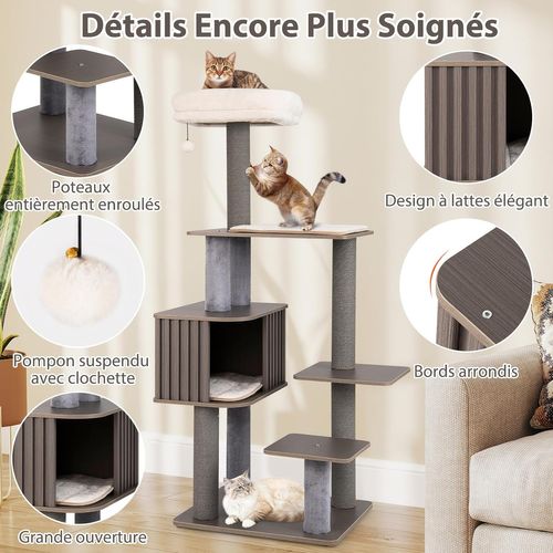 Arbre à Chat XXL, Arbre à Chat Bois, 5 Plateformes, 3 Poteaux à Griffer, 58×48×151/171 Cm (151 Cm)