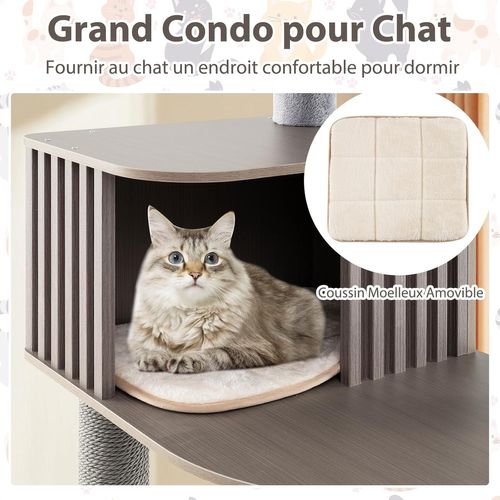 Arbre à Chat XXL, Arbre à Chat Bois, 5 Plateformes, 3 Poteaux à Griffer, 58×48×151/171 Cm (171 Cm)