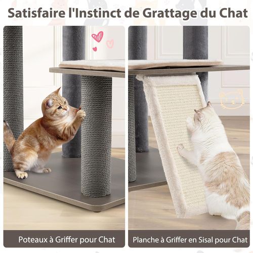 Arbre à Chat XXL, Arbre à Chat Bois, 5 Plateformes, 3 Poteaux à Griffer, 58×48×151/171 Cm (171 Cm)