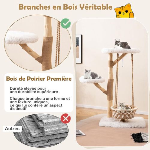 Petit Arbre à Chat 66 Cm, Arbre à Chat En Bois D’poirier, Berceau, Poteaux à Griffer En Jute
