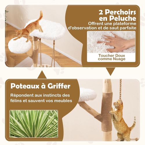 Petit Arbre à Chat 66 Cm, Arbre à Chat En Bois D’poirier, Berceau, Poteaux à Griffer En Jute