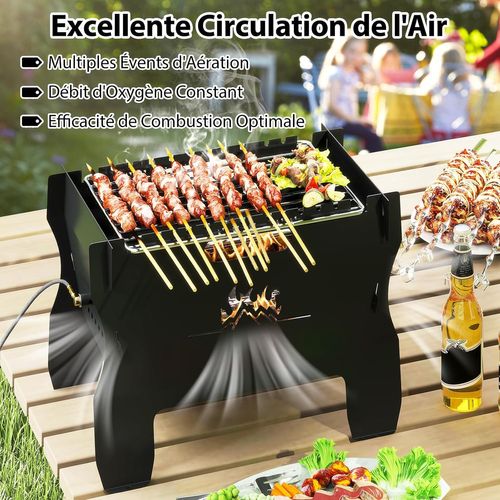 Brasero Portable à Double Combustible Au Gaz Butane Avec Grille En Acier Inoxydable
