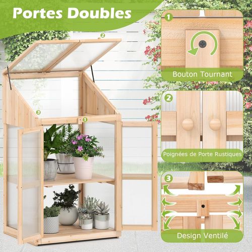 Serre De Jardin à 2 Niveaux En Bois De Sapin 121 Cm, Mini Serre Avec Protection D'étagère Toit