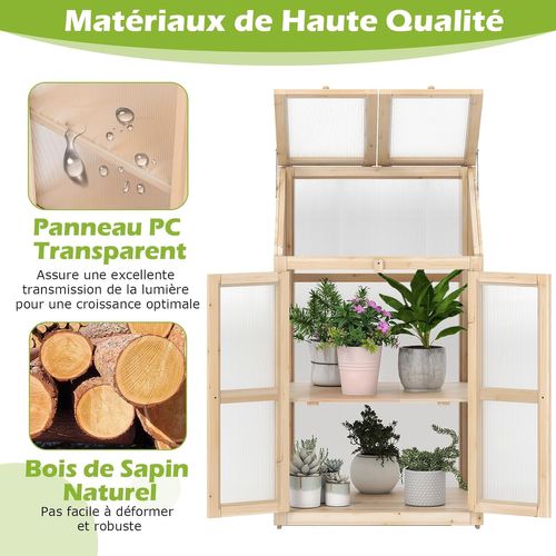 Serre De Jardin à 2 Niveaux En Bois De Sapin 121 Cm, Mini Serre Avec Protection D'étagère Toit