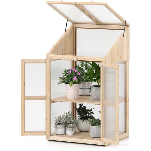 Serre De Jardin à 2 Niveaux En Bois De Sapin 121 Cm, Mini Serre Avec Protection D'étagère Toit