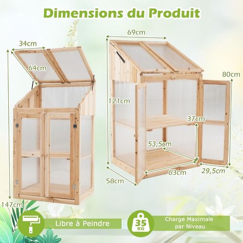 Serre De Jardin à 2 Niveaux En Bois De Sapin 121 Cm, Mini Serre Avec Protection D'étagère Toit
