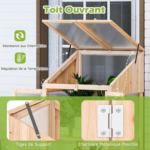 Serre De Jardin à 2 Niveaux En Bois De Sapin 121 Cm, Mini Serre Avec Protection D'étagère Toit