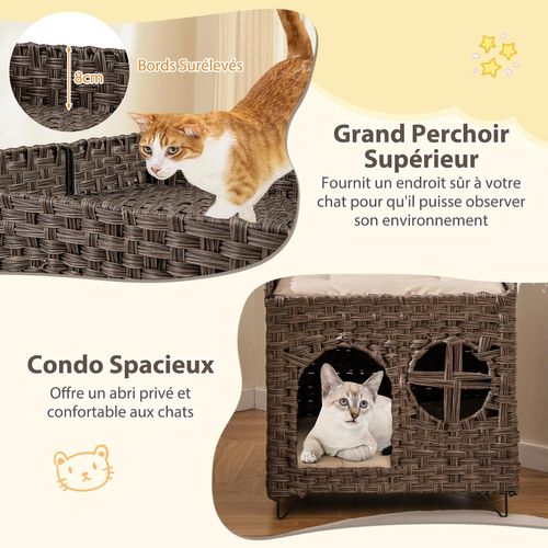Niche Chat Pliable En Rotin Pe, 2 Coussins Amovible, Pieds En Métal, 50,5 Cm X 45 Cm X 50 Cm