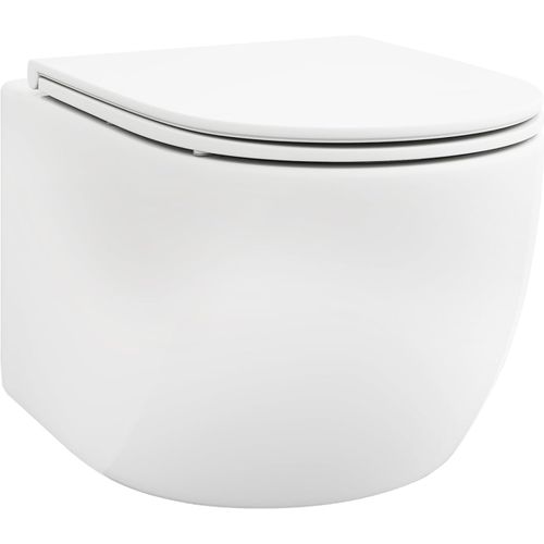 Wc Suspendu Sans Rebord Avec Abattant à Fermeture En Douceur, Système à Double Chasse