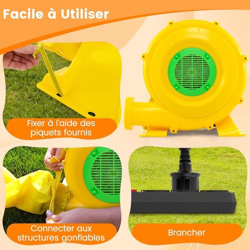 Gonfleur Électrique 750w Avec Poignée et Piquets De Sol, Cordon 4m et Couvercle En Maille