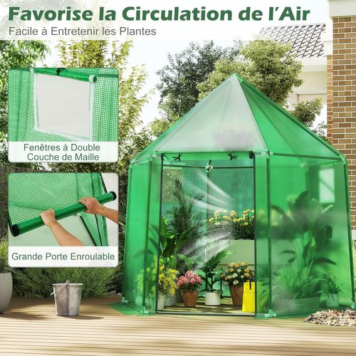 Serre De Jardin Extérieure Avec Couverture En Pe, Serre D'extérieur Portable Avec Structure En Métal