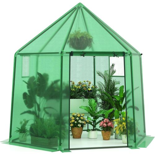 Serre De Jardin Extérieure Avec Couverture En Pe, Serre D'extérieur Portable Avec Structure En Métal