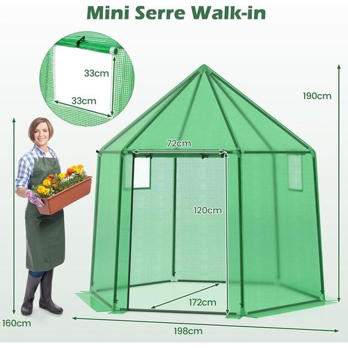 Serre De Jardin Extérieure Avec Couverture En Pe, Serre D'extérieur Portable Avec Structure En Métal