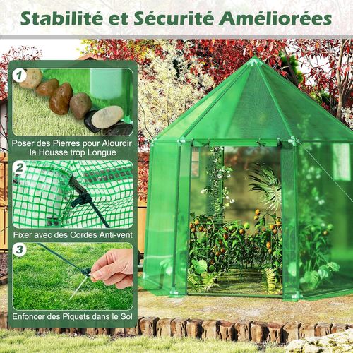 Serre De Jardin Extérieure Avec Couverture En Pe, Serre D'extérieur Portable Avec Structure En Métal