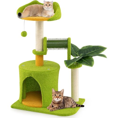 Petit Arbre à Chat, Arbre à Chat Cactus, Condo, Brosse D'toilettage, 48 X 33 X 79 Cm (79 Cm)