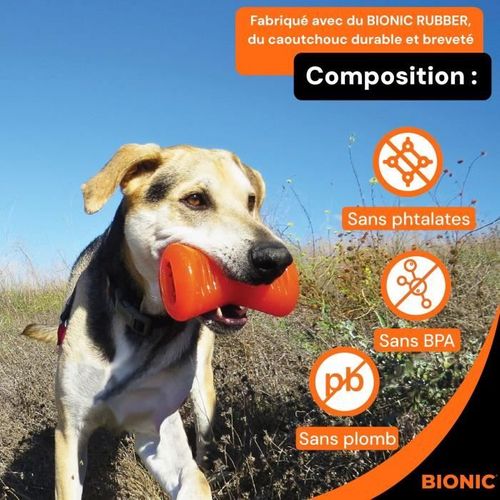 Jouet Pour Chien - Os - Taille Medium 12 Cm - Caoutchouc Ultra Résistant - Sans Plomb, Bpa Ni Phtal