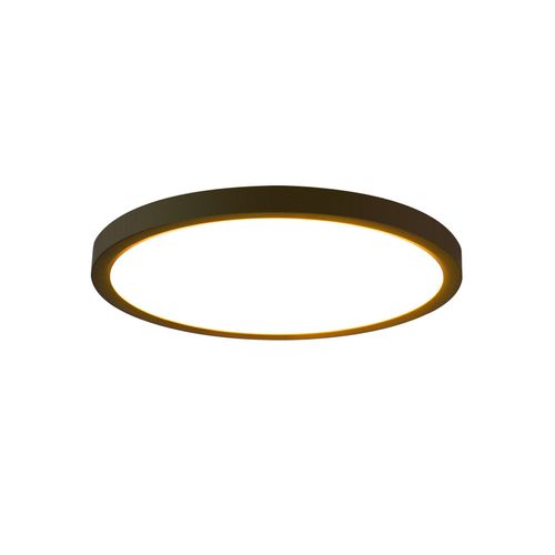 Plafonnier LED Rond Plat 24w Moderne Pour Salon