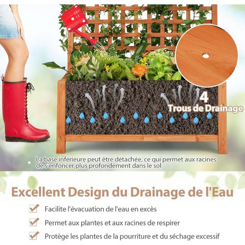 Jardinière Surélevée Avec Treillis En Bois De Sapin Avec Trou De Drainage (90 X 44,5 X 182,5 Cm)