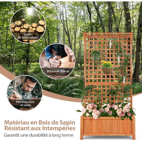Jardinière Surélevée Avec Treillis En Bois De Sapin Avec Trou De Drainage (90 X 44,5 X 182,5 Cm)