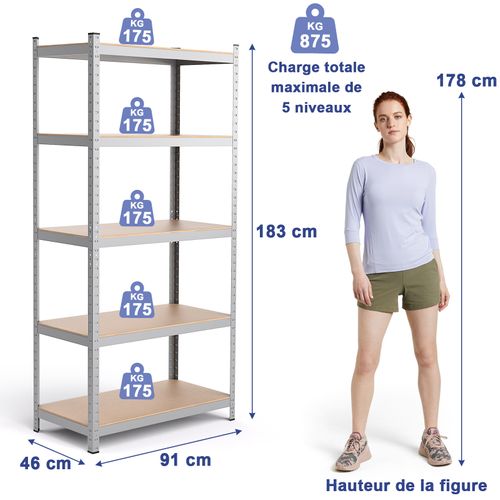 Étagère De Rangement à 5 Niveaux 46 X 91 X 183 Cm, Charge Lourde Totale 875 Kg, Argent