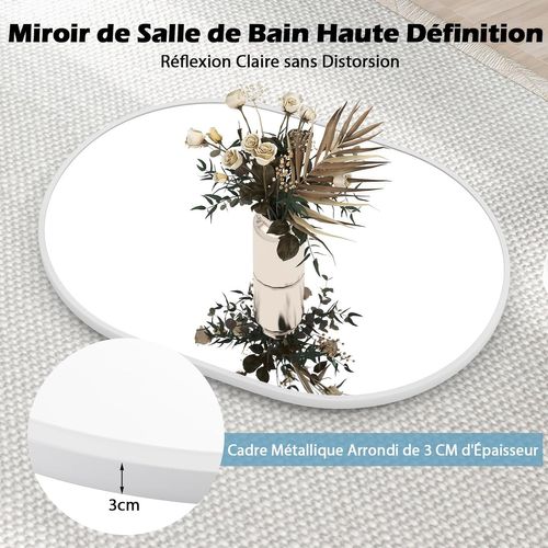 Miroir Salle De Bain 70,5 X 50,5 Cm, Miroir Mural Ovale, Miroir Maquillage, Supports Muraux