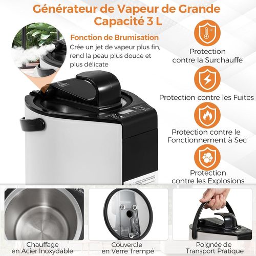 Sauna à Vapeur Portable 3l 1 000w Avec Chaise Pliable, Tente De Sauna Pour 1-2 Personnes (gris)