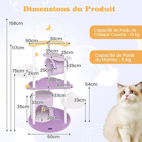 Arbre à Chat 158 Cm, Tour Pour Chat Intérieur à 6 Niveaux, 6 Plateformes, 1 Condo,60×60×158 Cm