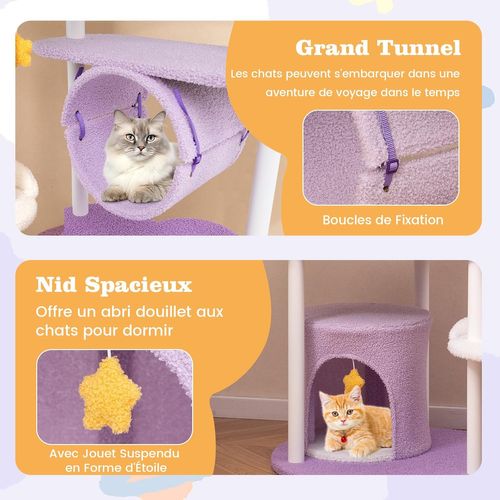 Arbre à Chat 158 Cm, Tour Pour Chat Intérieur à 6 Niveaux, 6 Plateformes, 1 Condo,60×60×158 Cm