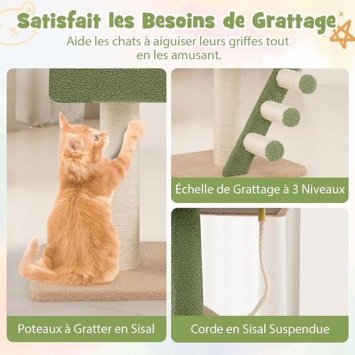 Arbre à Chat Plafond, Arbre à Chat Cactus XXL, 218 à 253 Cm Hauteur Réglable, Echelle