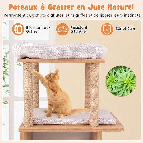 Arbre à Chat Bois 120 Cm, Arbre à Chat Design à Thème Sportif, 4 Griffoir Chat En Jute