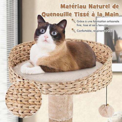 Arbre à Chat Bois 164 Cm, Arbre à Chat Design, 3 Griffoirs Chat En Jute, Tour Pour Chat à 6 Étages
