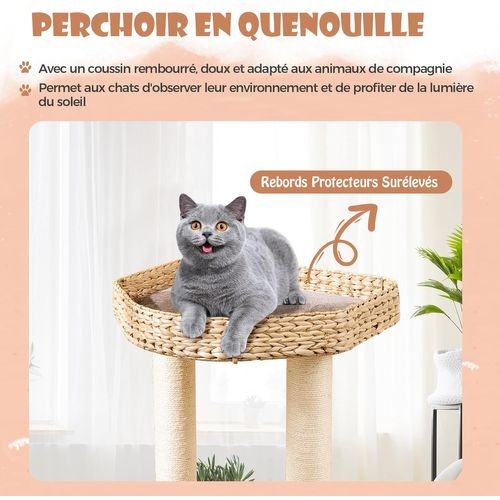 Arbre à Chat Bois 131 Cm, Arbre à Chat Design, 3 Griffoirs Chat En Sisal, Café