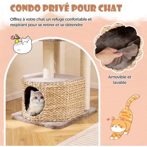 Arbre à Chat Bois 131 Cm, Arbre à Chat Design, 3 Griffoirs Chat En Sisal, Café