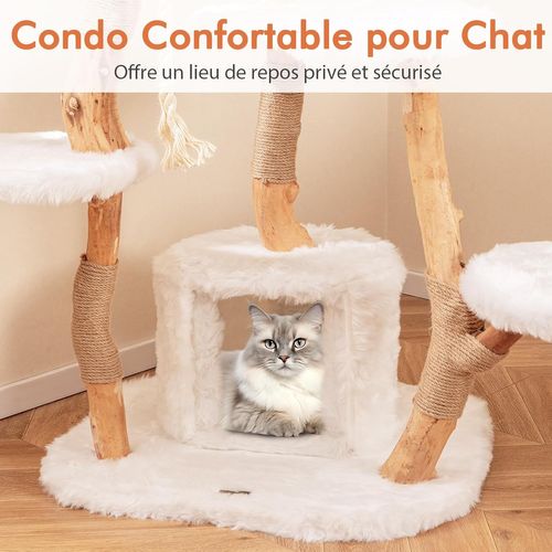 Arbre à Chat XXL 168 Cm, Arbre à Chat Bois, 5 Plateformes, 3 Poteaux à Griffer En Jute,68×58×168 Cm