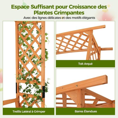 Arche De Jardin Pour Plantes Grimpantes Avec Banc 2 Places à Charge 300 Kg (160 X 50 X 199 Cm)