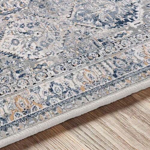 Tapis Vintage Oriental Bleu 200x275 Cm Camila