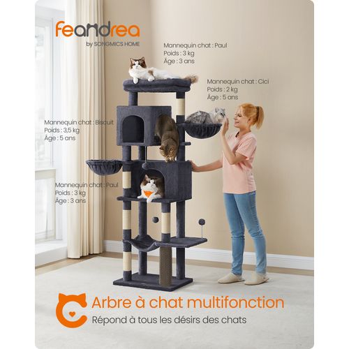 Grand Arbre à Chat, Hauteur 175 Cm, Avec 2 Niches, 2 Paniers, 5 Griffoirs, Hamac, Gris Foncé