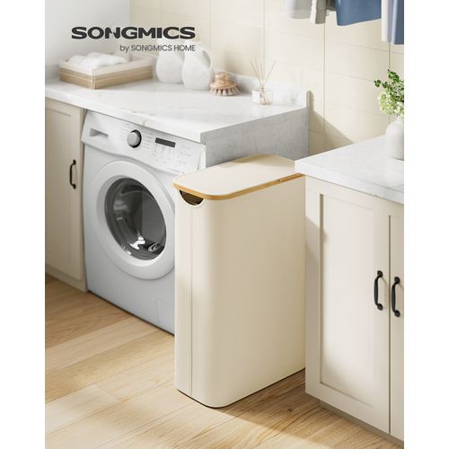 Panier à Linge Mince Avec Couvercle, 65l, Doublure En Maille Amovible, Tissu Oxford