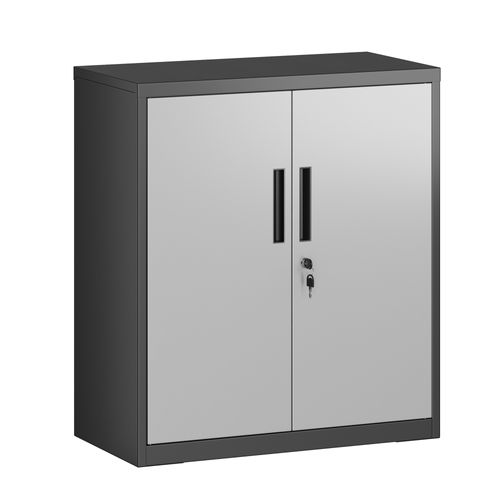 Armoire De Classement Multi-usages Avec 2 Portes, Armoire De Rangement En Acier, Argenté/noir