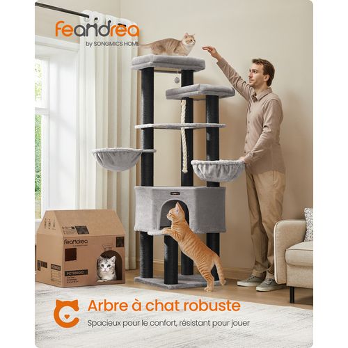 Grand Arbre à Chat, XXL, 55 X 55 X 186,7 Cm, Poteaux En Sisal De 11 Cm De Diamètre, Gris Et Noir