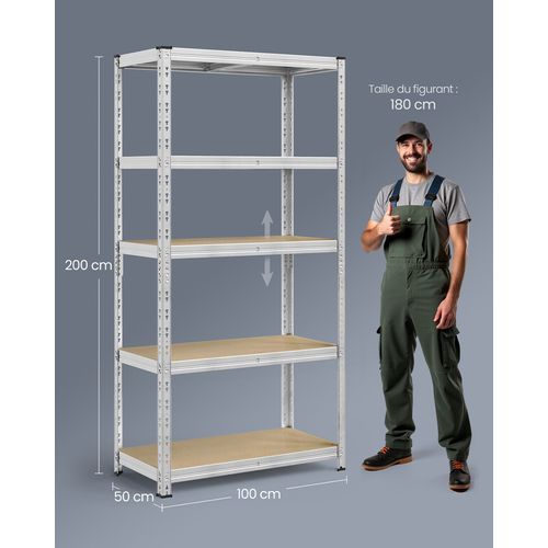 Étagère De Rangement Charge Lourde, 50 X 100 X 200 Cm, Capacité De Charge Jusqu’à 875 Kg, Argent