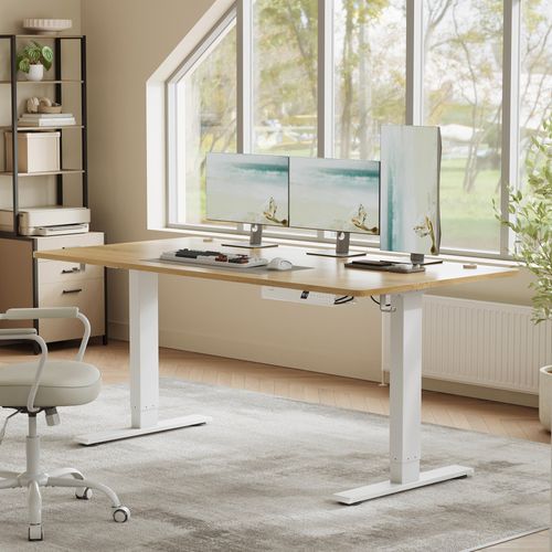 Bureau Assis-debout, Réglable En Hauteur, 160 X 80 Cm, Avec Port USB-c, Couelur Chêne