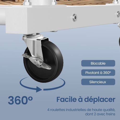 Portemanteau Sur Roulettes, Portant à Vêtements Robuste, Charge 90 Kg, Chambre, Blanc