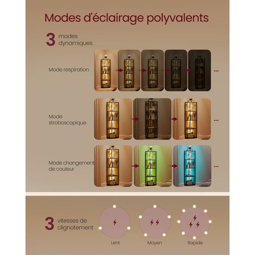 Étagère D'angle à 5 Niveaux, Avec Éclairage LED Réglable, 24,8 X 48 X 146,6 Cm, Noir Boisé